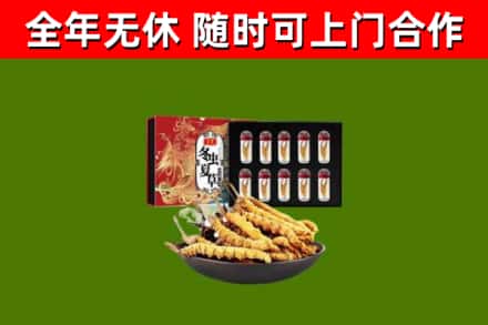大安区回收冬虫夏草价格